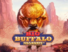 Logo of Big Buffalo Megaways from Skywind Group at Staatsloterij Casino
