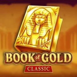 game logo by Playson on staatsloterijcasino.eu